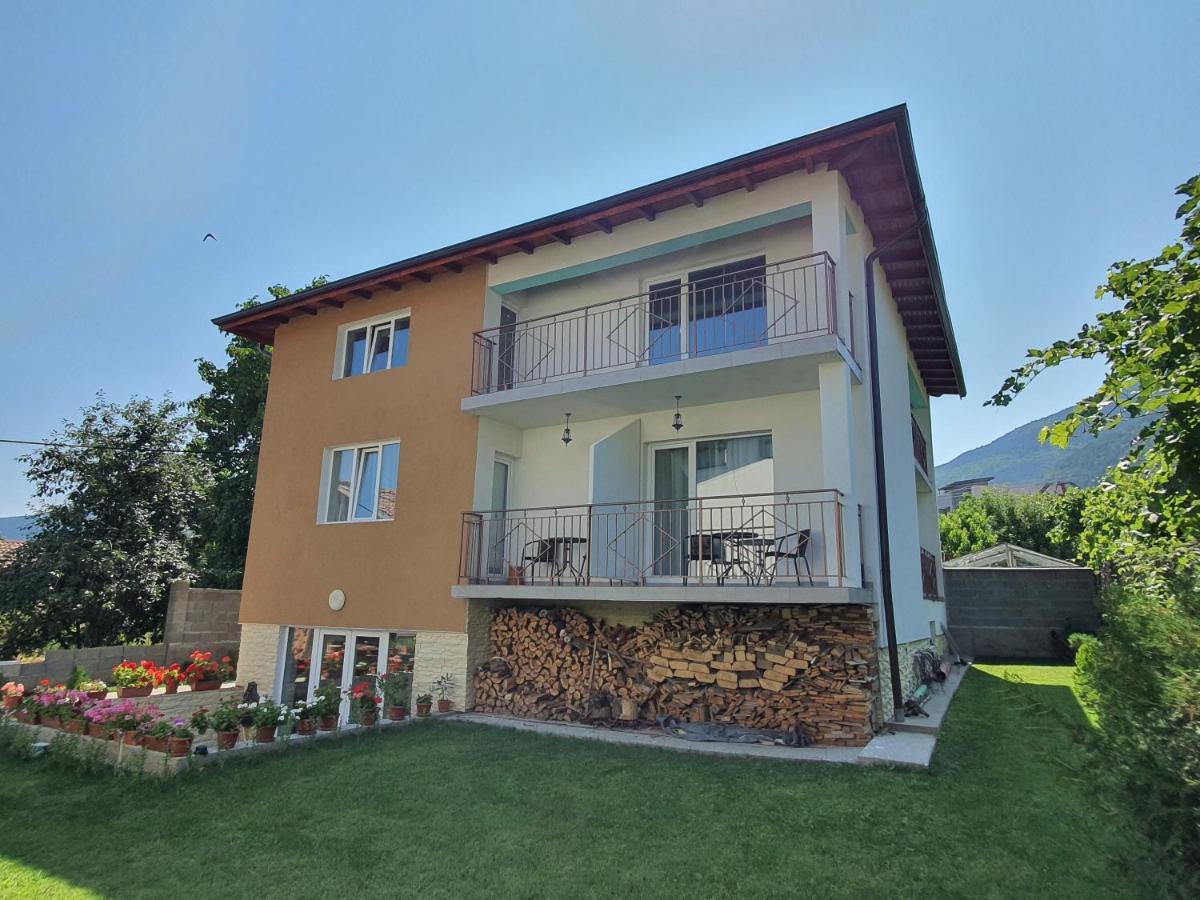 Дамяновата Къща Hotel Sapareva Banya Exterior photo
